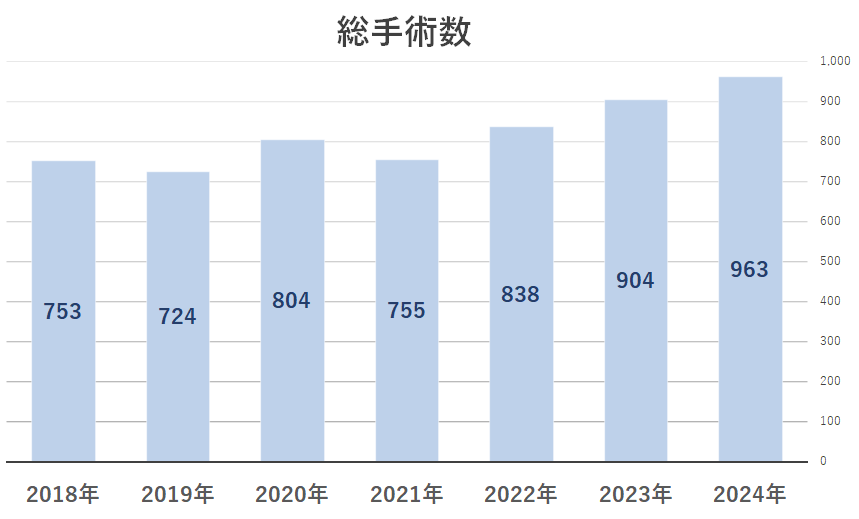2024総手術数